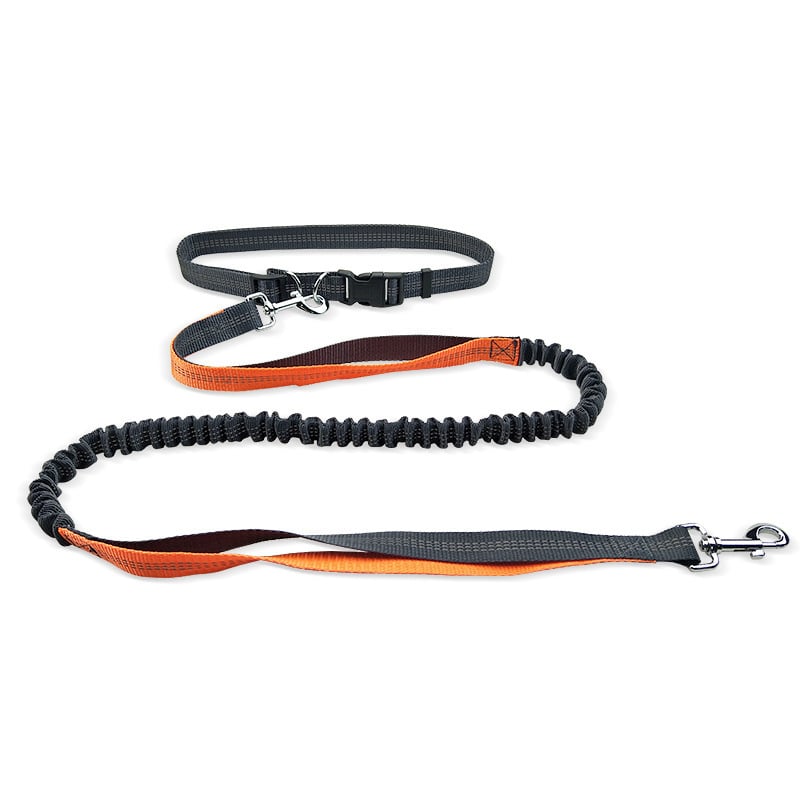 Hands-Free Dog Walking Belt with Shockproof Detachable Leash – 130cm