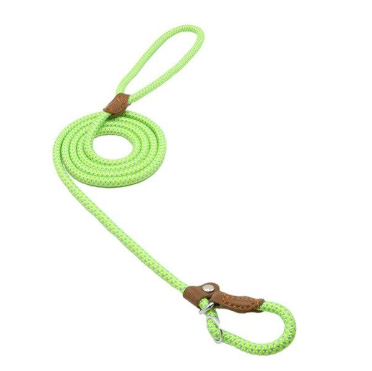 Nylon Dog Collar & Lead Set – Adjustable & Durable for All Breeds
