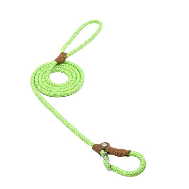 Nylon Dog Collar & Lead Set – Adjustable & Durable for All Breeds