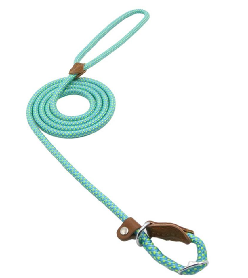 Nylon Dog Collar & Lead Set – Adjustable & Durable for All Breeds