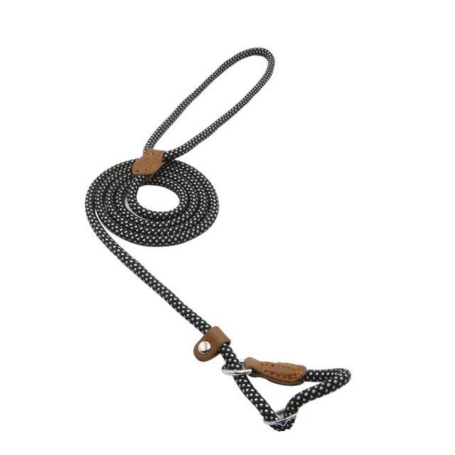 Nylon Dog Collar & Lead Set – Adjustable & Durable for All Breeds