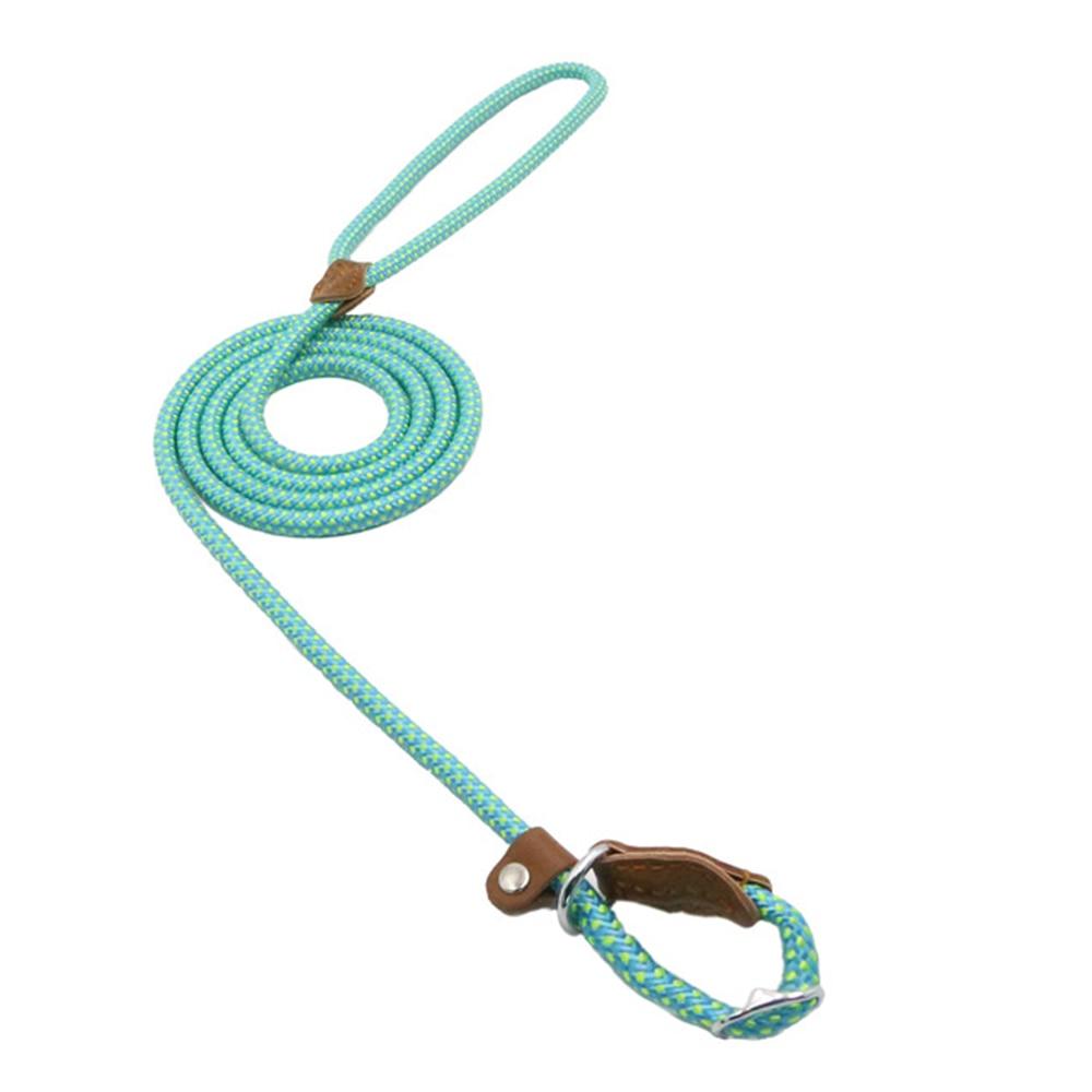 Nylon Dog Collar & Lead Set – Adjustable & Durable for All Breeds