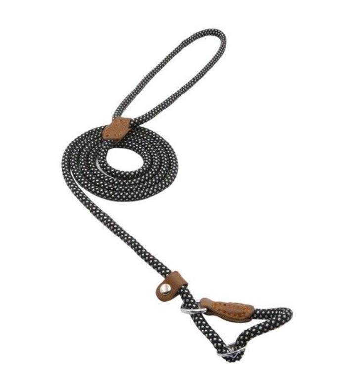 Nylon Dog Collar & Lead Set – Adjustable & Durable for All Breeds