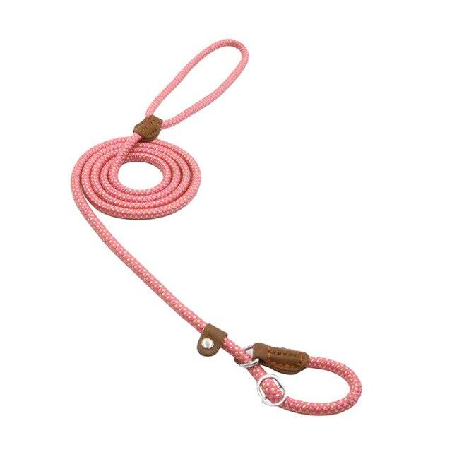Nylon Dog Collar & Lead Set – Adjustable & Durable for All Breeds