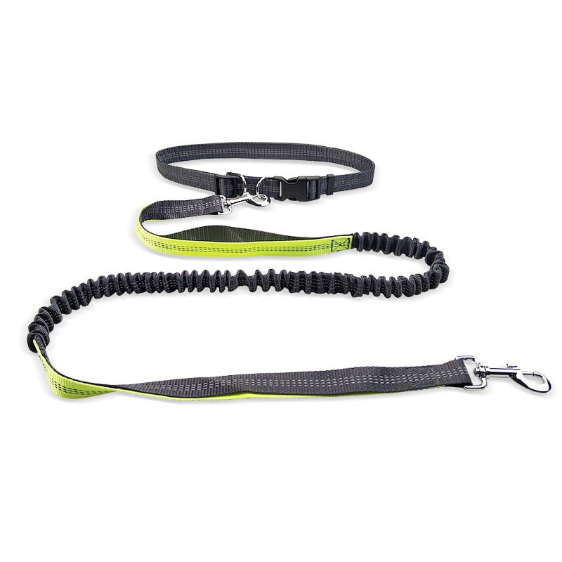 Hands-Free Dog Walking Belt with Shockproof Detachable Leash – 130cm