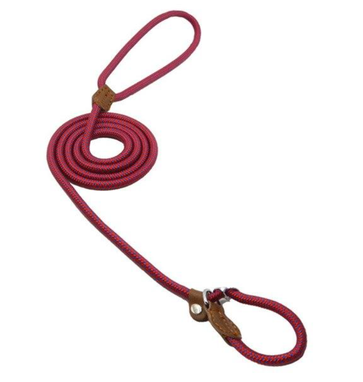 Nylon Dog Collar & Lead Set – Adjustable & Durable for All Breeds