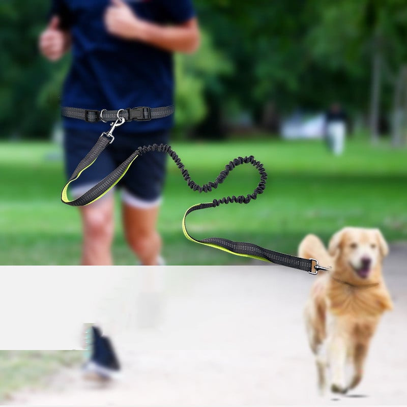 Hands-Free Dog Walking Belt with Shockproof Detachable Leash – 130cm