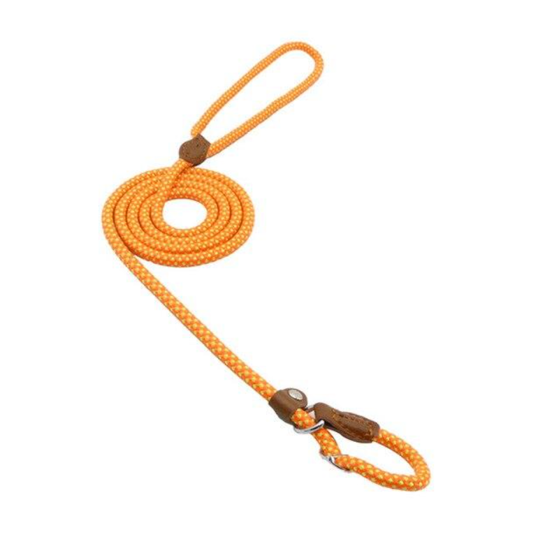 Nylon Dog Collar & Lead Set – Adjustable & Durable for All Breeds