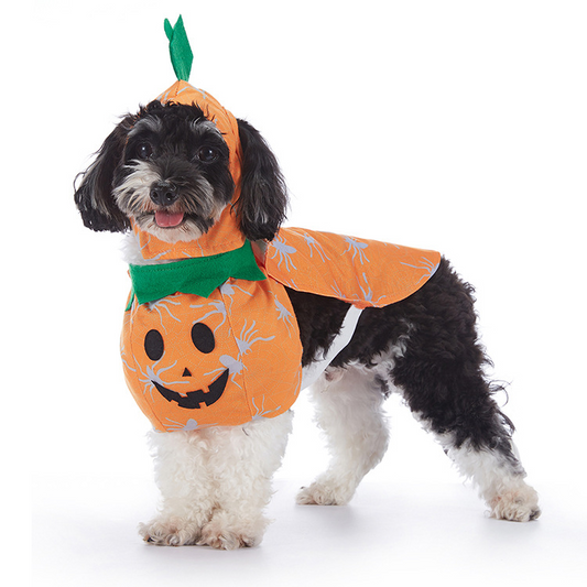 Halloween Dog Costumes – 11 Designs, S to XL