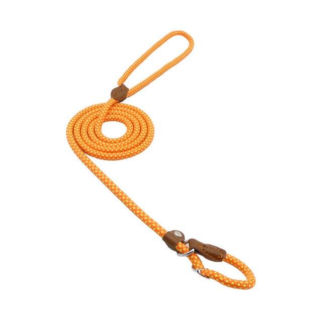 Nylon Dog Collar & Lead Set – Adjustable & Durable for All Breeds