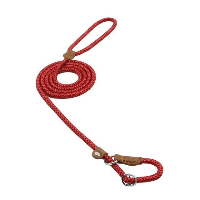 Nylon Dog Collar & Lead Set – Adjustable & Durable for All Breeds