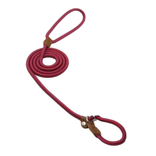 Nylon Dog Collar & Lead Set – Adjustable & Durable for All Breeds